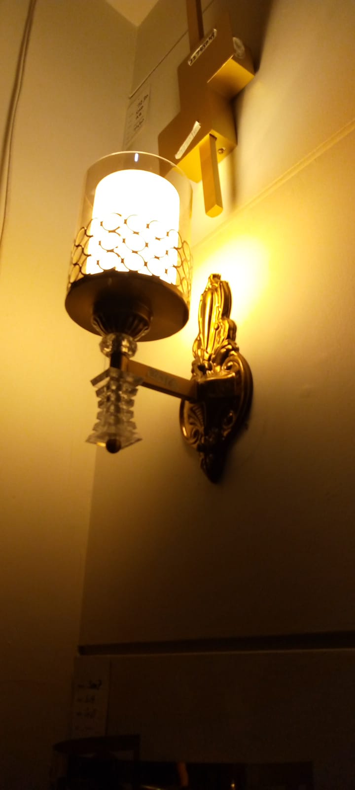 WhatsApp Image 2024-10-30 at 10.15.41 PM (3)